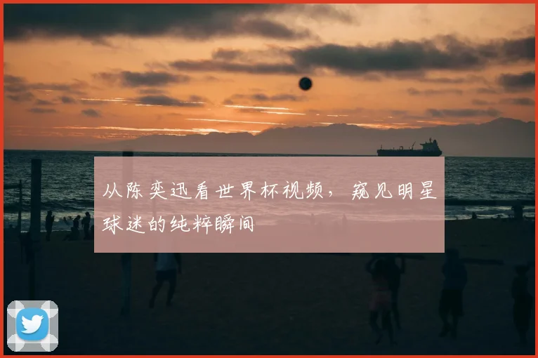 从陈奕迅看世界杯视频，窥见明星球迷的纯粹瞬间