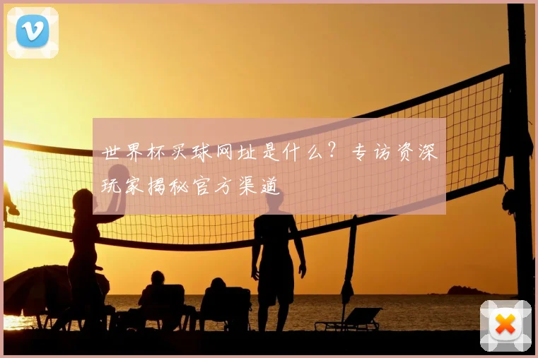 世界杯买球网址是什么?专访资深玩家揭秘官方渠道