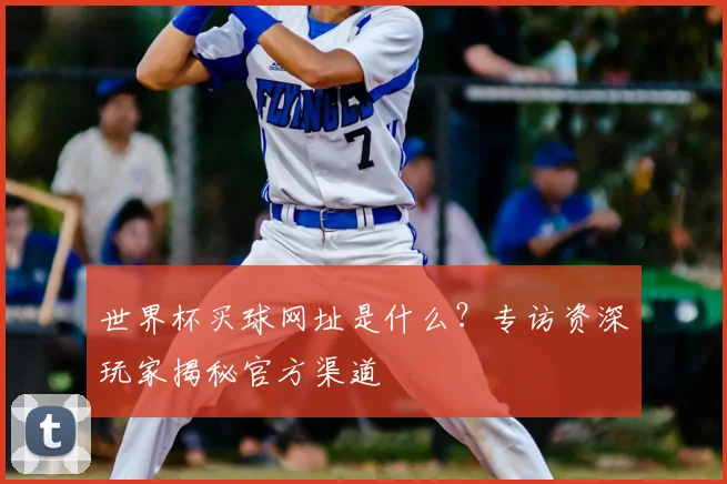 世界杯买球网址是什么?专访资深玩家揭秘官方渠道