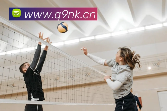 App Interface Preview